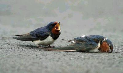 nonnnnnnnnnnnnnnnnnnnnnnnnnnnnnnnn tfou